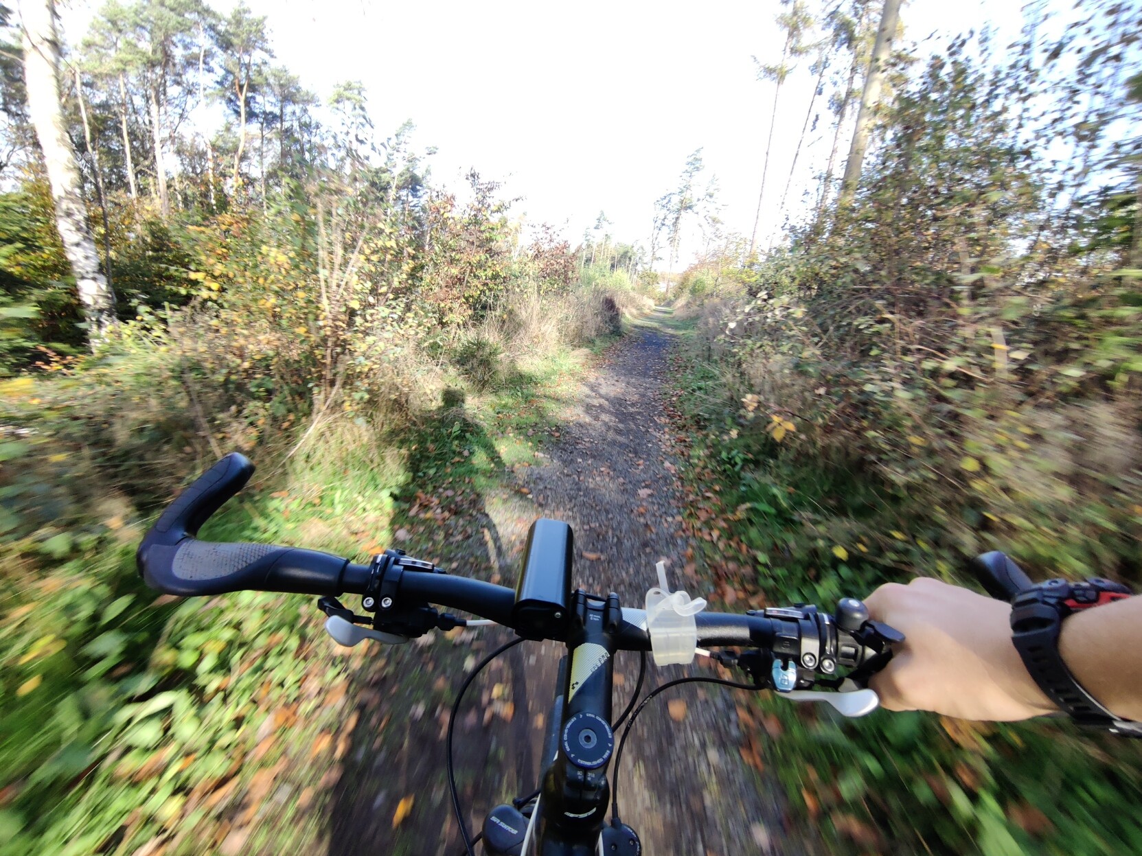First person view of my bikes handlebars going down a forest road.