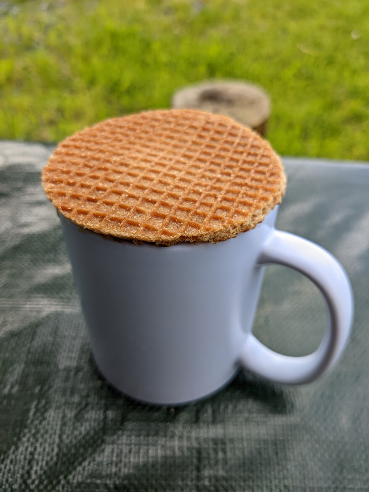 A white pot of coffee with one large Stroopwaffel on top of it. The scene is outdoors and there is grass in the background
