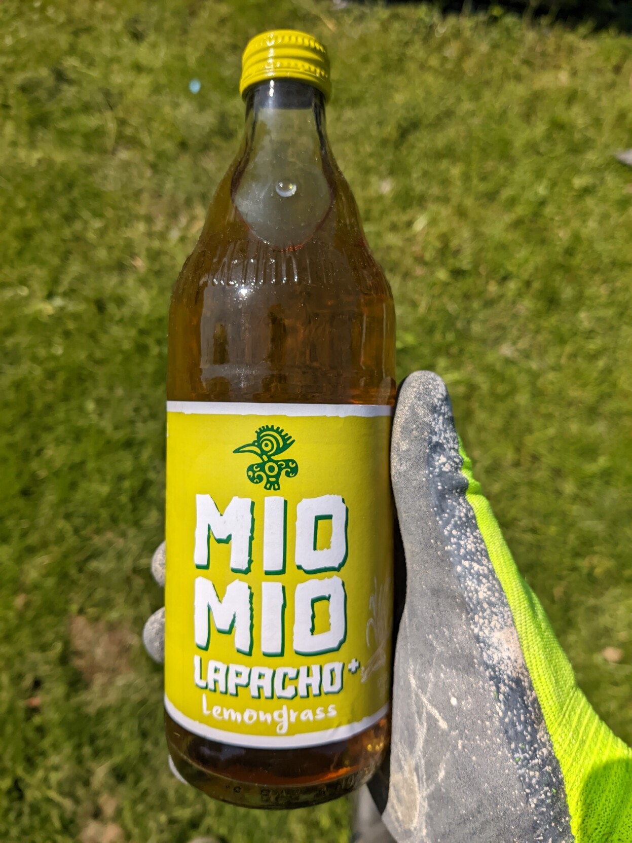 Eine Flasche Mio Mio Mate mit Zitronengrasgeschmack