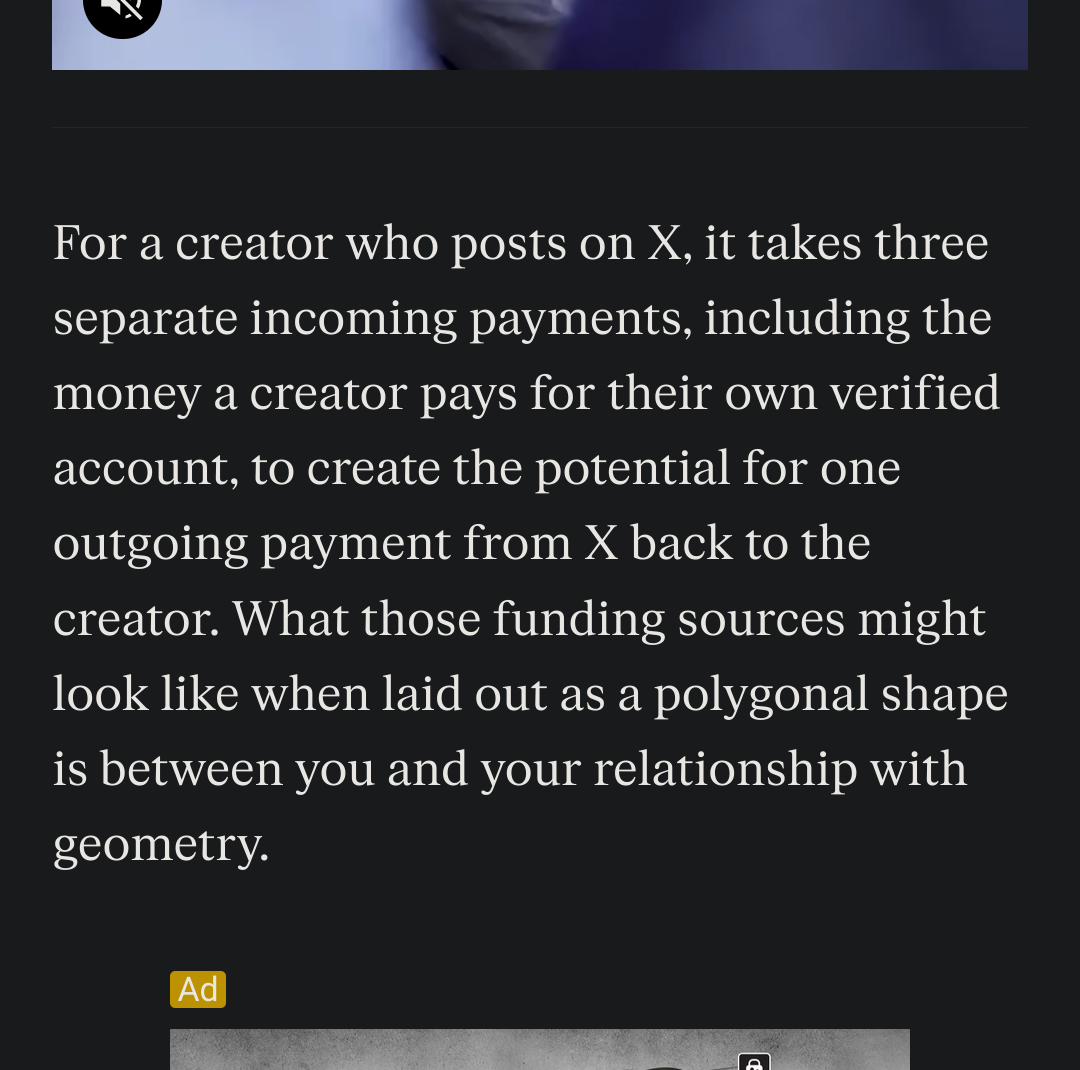 Screenshot of an article on the Verge. The section visible reads: 